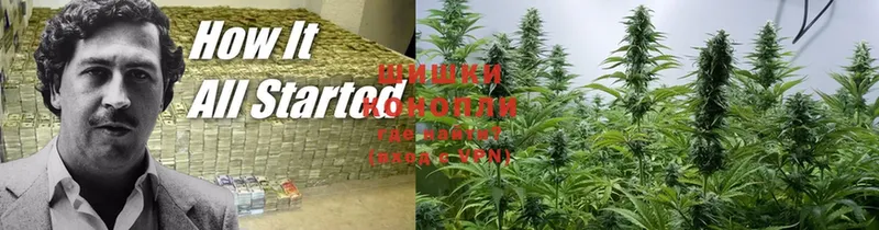 МАРИХУАНА White Widow  Михайловск 